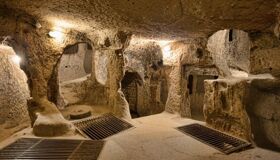 image-101